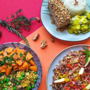 Marmitas congeladas saudáveis Nutrinice - Kit Dia a Dia